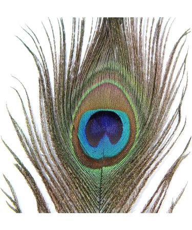 10pcs Multicolored Natural Peacock Feathers for DIY Crafts and Easter Decoration - 10-12 inch - Buy Online on SooperMarket.com