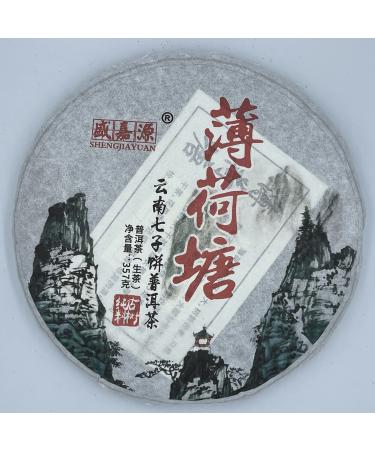 Pu-erh tea 2020 SHENG JIA YUAN Mint pond 357g Raw