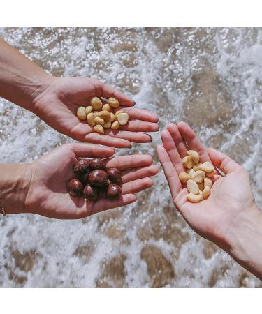 Organic Dark Chocolate Covered Macadamia Nuts - Island Harvest, Hawaiian Grown, All-Natural Keto Snack, Non-GMO, High Fiber - 2 Pack (9 oz) - Buy Online on SooperMarket.com