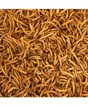 Premium 1kg Dried Mealworms - High Protein Flourworms for Reptiles Birds Fish & More | International Shipping Available - Buy Online on SooperMarket.com