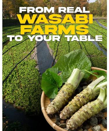 WASABI-O Premium Wasabi Sauce With Real Wasabi - Wasabi Hot Sauce For Sushi Roast Beef Roasted Veggies & More Vegan Barbecue Vegetarian Gluten-Free 2.2oz - Buy Online on SooperMarket.com