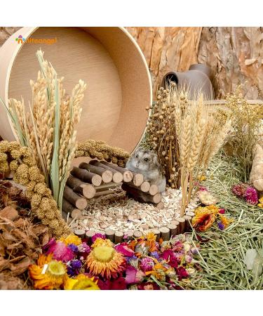 Niteangel Natural Harvest Wind Flower & Herb Hamster Bedding - Habitat Decor for Small Pets - Buy Online on SooperMarket.com