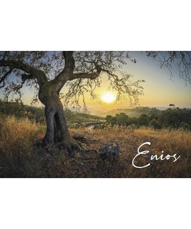 Enios Kalamata Premium Greek Extra Virgin Olive Oil 3L - New Harvest 2023/24, Cold-Extracted with Low Acidity and Polyphenol-Rich - Buy Online on SooperMarket.com