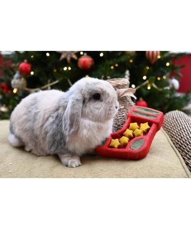 Cupid & Comet Rosewood Cupid & Comet Christmas Puzzle Stocking Gnaw Treat for Small Animals - Buy Online on SooperMarket.com