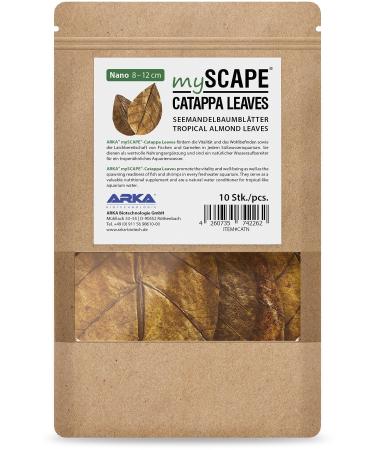 Arka Myscape -Catappa Leaves - 8-12cm / 10 pieces - Natural water supply from seafaring tree leaves for freshwater aquariums improves health of fish & shrimps