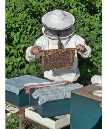 Buy ImkerPur ORGANIC Honeycomb (Acacia/White Robinia) 400g - Food-Safe Freshness Box - International Shipping Available - Buy Online on SooperMarket.com