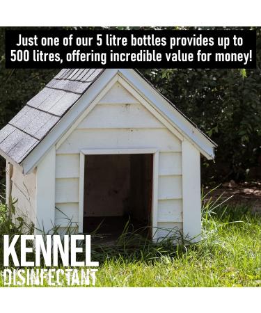 ULTIMA-PLUS XP Kennel Kleen 5L - Disinfectant Cleaner & Sanitiser with Bubblegum Fragrance - Concentrated for Kennels, Catteries & Hatches - Buy Online on SooperMarket.com