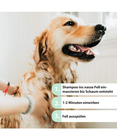 Jack & the Tub Dog Shampoo Mild Mint 500 ml - Nourishing Dog Shampoo with Conditioner & Refreshing Mint Scent for All Breeds | International Shipping - Buy Online on SooperMarket.com