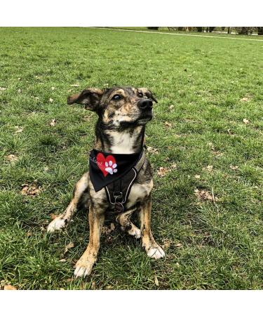 Printplanet Dog Scarf with Custom Name/Text - Pfotenherz Design - Size S - Buy Online on SooperMarket.com