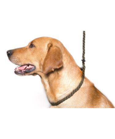 Dog & Field Deluxe Gundog Slip Lead (Olive Green) Soft 8mm Spliced Marine Rope with Rubber Stopper - One Size Fits All and Suitable For All Breeds of Dog with 2 Colour Options (Olive Green) Olive Green 150cm