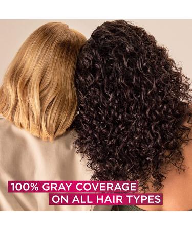 L'Oreal Paris Excellence Creme 8.5A Champagne Blonde Hair Color - Gray Coverage, All Hair Types - 1 Pack - Buy Online on SooperMarket.com