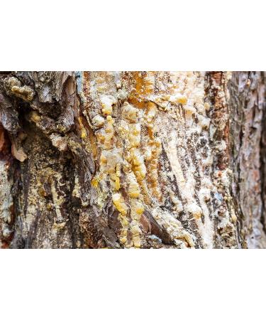 Georgia Premium Pine Rosin 1lb - Tree Resin for Beeswax Wraps & Hand Grip Enhancer for Sports & Rodeo - Buy Online on SooperMarket.com
