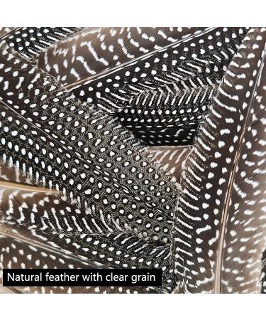 30Pcs Natural Turkey Spotted Feathers for DIY Crafts and Decor - 6-8 inch (3 Styles) - Buy Online on SooperMarket.com