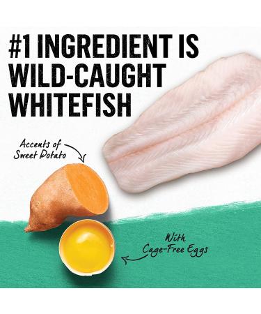 Purina Beyond Grain-Free Ocean Whitefish & Egg Cat Food 3lb - Natural Adult Dry Food - Buy Online on SooperMarket.com