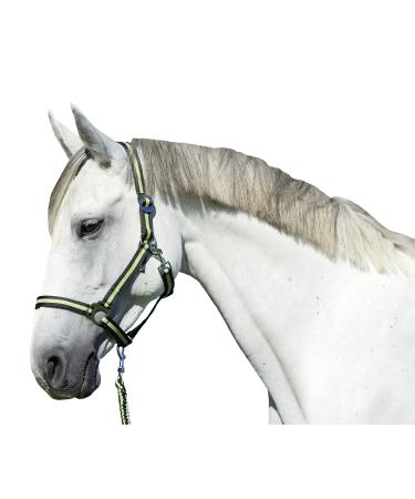 Kerbl Nylon Halter Hippo Nylon Halter for Pony Shetty Full Cob XFull 6 Colors Size 1 Anthracite/Lemon