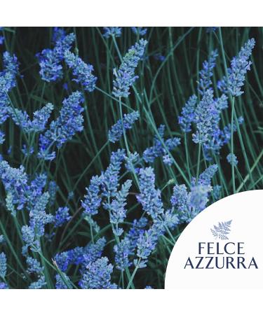 Buy Felce Azzurra Classico Body Powder - 12 Pack (100g) - Natural Dye-Free Dermatologically Tested - International Shipping - Buy Online on SooperMarket.com