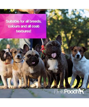 Pretty Pooch Gentle Touch Dog Shampoo & Conditioner - 2L Baby Powder Fragrance | Non-itchy Deep Cleaning for Dogs with Sensitive Skin - Buy Online on SooperMarket.com