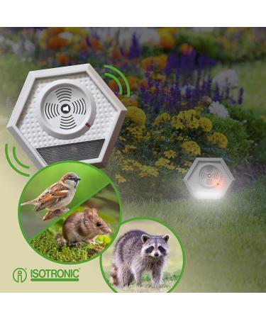 ISOTRONIC MAUS Distributor: Ultrasound & Light Mouse Defense | Chemical-Free Rat Control | Safe for People & Pets | 3-Pack Set - Buy Online on SooperMarket.com