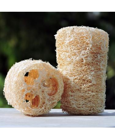 Organic Loofa Bath Sponge Set - 2 Exfoliating Scrubbers | Naturally Grown Loofah - HealthGoodsIn - Buy Online on SooperMarket.com