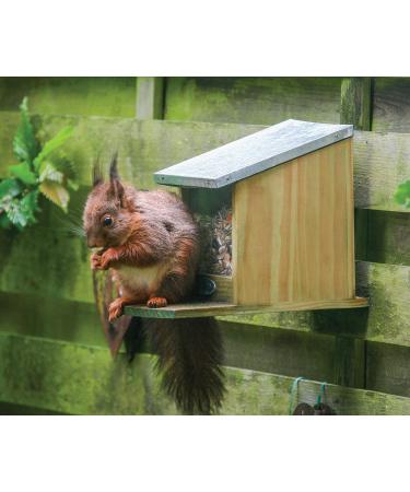Squirrel Nut Feeder Zinc Roof Pinewood FSC 100% Wildlife Garden - Buy Online on SooperMarket.com