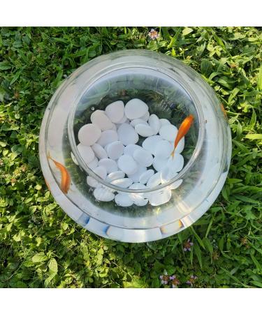 Kalapanta Kit Try-Pack: 12 Mixed Decorative Stones - White Recycled Plastic for Pots Painting Aquariums & Gardens - Buy Online on SooperMarket.com