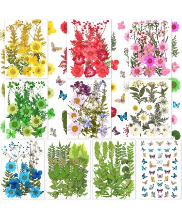 223 Pieces Real Dried Flowers Leaves and Butterfly Stickers Set  Multiple Pressed Dry Flowers Colorful Natural Daisies Flowers and Adhesive Butterfly Decals for DIY Resin Jewelry Nail Crafts