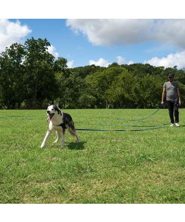 Hi Kiss 30ft Black Dog/Puppy Obedience Recall Training Agility Lead - Long Training Leash for Play, Camping, and Backyard - Buy Online on SooperMarket.com