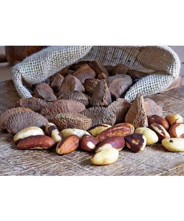 Organic Dry Roasted Brazil Nuts with Himalayan Salt - 1lb | Non-GMO | Vegan & Kosher | High Protein & Selenium | Keto-Friendly Snack - Buy Online on SooperMarket.com