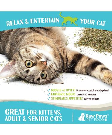 Raw Paws Pet Natural Catnip 1-oz - Premium Loose Catnip Leaf for Cats - Potent Refill for Toys - Cat Catnip Herb Dried - Buy Online on SooperMarket.com