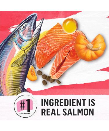 Beyond Superfood Blend Natural Dry Dog Food Wild Caught Salmon Egg & Pumpkin - 1.67 kg Bag 1.67 kg (Pack of 1) Dog Food - Buy Online on SooperMarket.com