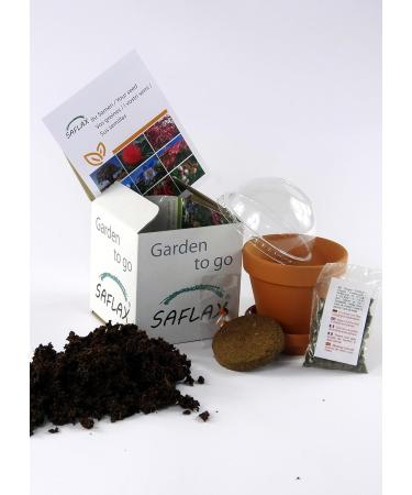 SAFLAX Organic Black Cumin Seeds (Nigella Sativa) - 300 Seeds for Gardening - Buy Online on SooperMarket.com