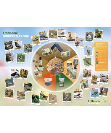 Erdtmanns 35 Fat Balls in Bucket - 3 kg Bird Feed for Garden - No Net - International Shipping Available - Buy Online on SooperMarket.com