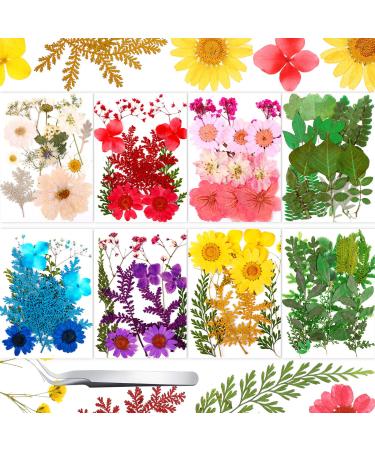109 Pieces Real Dried Press Flowers Set  Natural Pressed Dry Flowers Leaves Mixed Multiple Dried Flowers with Tweezers for Craft DIY Candle Resin Jewelry Nail Pendant Making Supplies