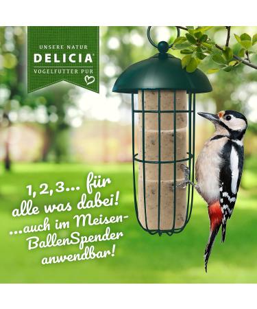 DELICIA Premium Insect Bird Balls - 6 Pack for Garden & Wild Birds | Meisen Dumplings with Hangers - High-Quality Bird Feed - Buy Online on SooperMarket.com