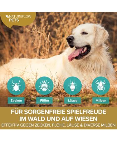 Premium Tick Spray for Dogs - 250ml | Natural & Effective Protection Against Ticks | Made in Germany - Buy Online on SooperMarket.com