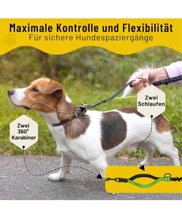 Buy Bungee Leash for Small Dogs (up to 15kg) - Adjustable 110-160cm Jogging Line Extension with 2 Loops - Buy Online on SooperMarket.com