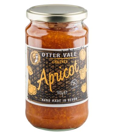 Otter Vale Apricot Chutney apricot fruitiness with a hint of spice hand-made in Devon gluten-free 500 g glass jar