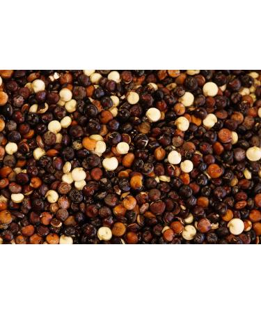 Yupik Organic Tri-Color Mixed Quinoa 2.2lb - Non-GMO, Vegan, Gluten-Free - Buy Online on SooperMarket.com