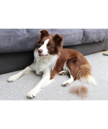 FURminator FURflex Grooming Brush for Small Dogs | deShedding Attachment for Undercoat Removal - Size SS Head Only | International Shipping Available - Buy Online on SooperMarket.com
