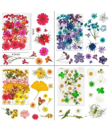 Dried Pressed Flowers 170+ Pcs - Bulk Natural Floral Fillers for Resin Crafts & Jewelry - 5 Color Set - Buy Online on SooperMarket.com