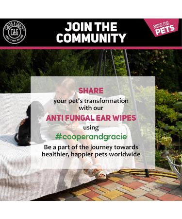 Biodegradable Anti-Fungal Ear Wipes for Dogs & Cats | 100 Soothing Cleaning Wipes | Gentle & Quick Solution for Ear Wax & Itchiness - Buy Online on SooperMarket.com