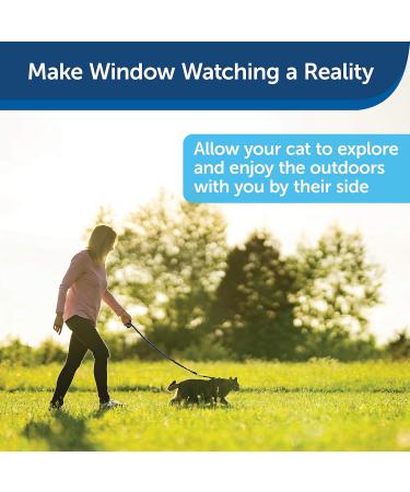 PetSafe Come With Me Kitty Harness & Bungee Leash - Large Royal Blue/Navy | Best Cat Harness for International Shipping - Buy Online on SooperMarket.com