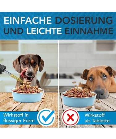 Buy Vitamin B Complex for Dogs 100ml | All B Vitamins Included | Innovative Drops Formula | Made in Germany - Buy Online on SooperMarket.com