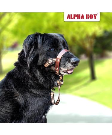 Alpha Boy Dog Training Collar - Comfortable Leather Harness for All Breeds Easy to Use Quick Lock Buckle (XXL) - Buy Online on SooperMarket.com