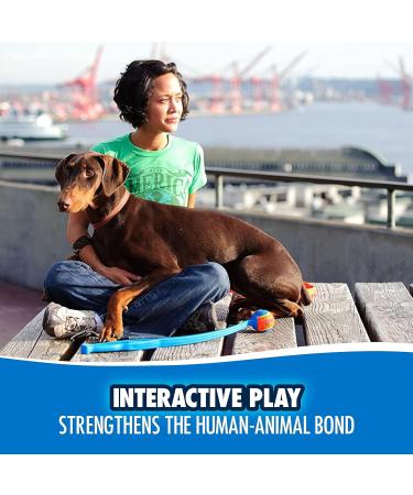 Chuckit! Fetch & Fold Dog Ball Launcher Set - Hands Free Rubber Fetch Toy for Dogs - Buy Online on SooperMarket.com