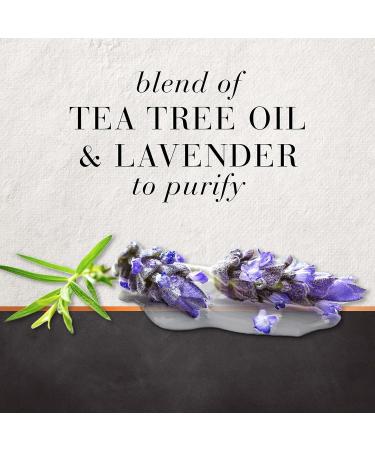 Buy Hair Food Shampoo with Tea Tree & Lavender Water - 10.1 Oz | International Shipping Available - Buy Online on SooperMarket.com