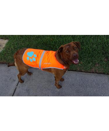 SafetyPUP XD - Reflective Dog Vest | Hi-Visibility Blaze Orange Vest for Medium Dogs | Protect Your Pup from Accidents - Buy Online on SooperMarket.com