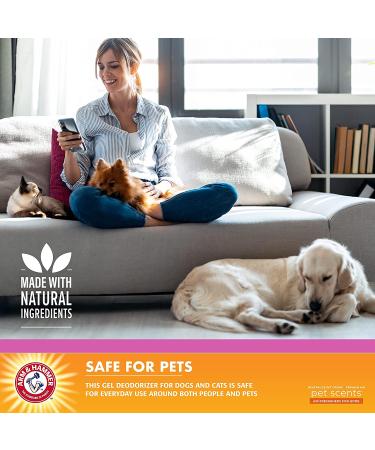 Arm & Hammer for Pets Pet Scents Room Spray 18 oz - Lavender Fields Pet Odor Eliminator - Home Air Freshener for Dog Odors - Buy Online on SooperMarket.com