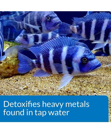 API Tap Water Conditioner for Aquariums - 1 Oz | Effective Water Treatment - Buy Online on SooperMarket.com