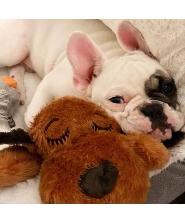 Snuggle Puppy Replacement Heat Packs - 12-Pack for Pets - Buy Online on SooperMarket.com